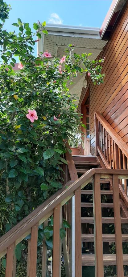 Bungalow Mangifera Proche De La Plage Le Diamant Ngoại thất bức ảnh